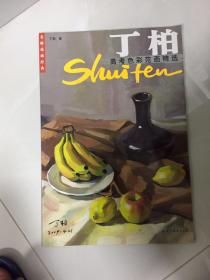 （请看描述） 正版假一罚十 丁柏高考色彩范画精选