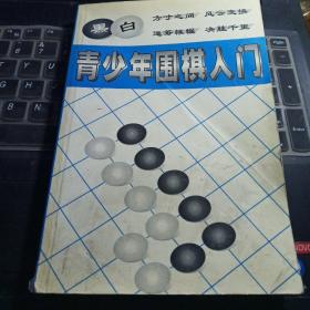 青少年围棋入门