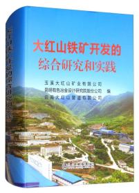 正版书 大红山铁矿开发的综合研究和实践