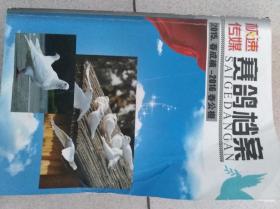 赛鸽档案 2016春 （二层2格）