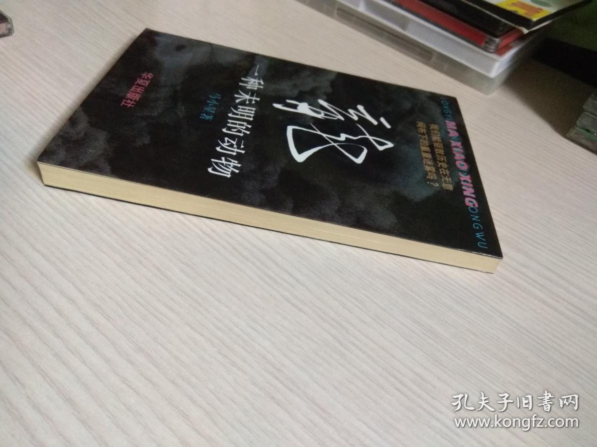 龙：一种未明的动物