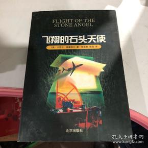 飞翔的石头天使