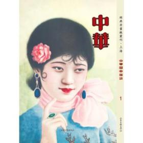 经典老画报丛刊：中华图画杂志（全20册）