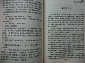 马丁·伊登  【世界文学名著】