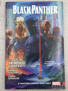 Black Panther Vol. 1