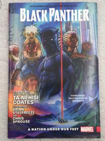 Black Panther Vol. 1