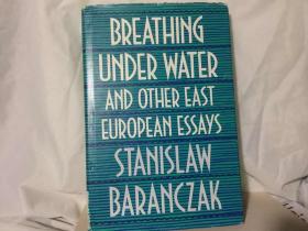 Breathing Under Water And Other East European Essays