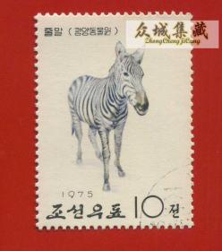 1975朝鲜邮票 保护珍惜野生动物 斑马 绘画邮票 盖销
