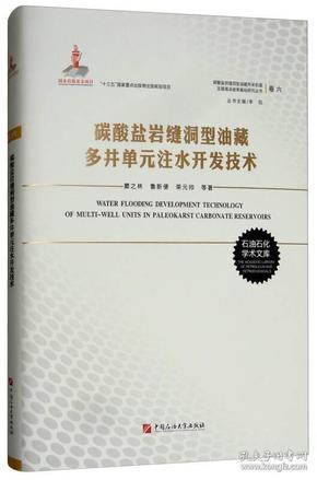 碳酸盐岩缝洞型油藏多井单元注水开发技术（卷六）/碳酸盐岩缝洞型油藏开采机理及提高采收率基础研究丛书
