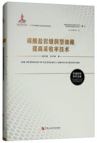 碳酸盐岩缝洞型油藏提高采收率技术（卷七）/碳酸盐岩缝洞型油藏开采机理及提高采收率基础研究丛书。