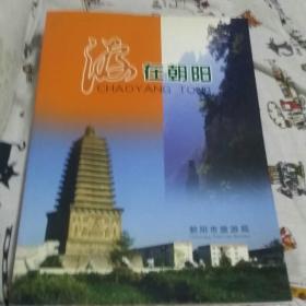 游在朝阳(品佳)