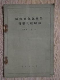 鲫鱼、鲶鱼、泥鳅的骨骼比较解剖