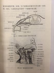 脊柱相关疾病