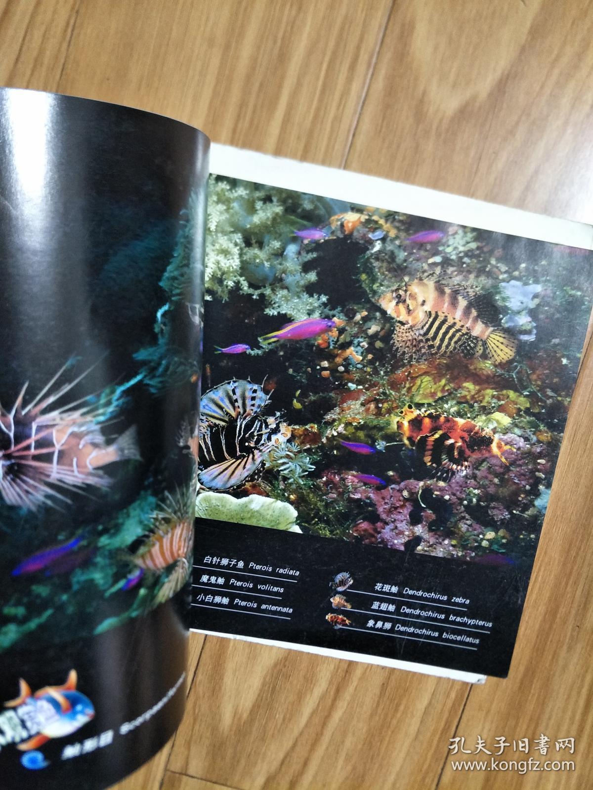 贾建兵 编  《海水观赏鱼》铜版纸彩图版！