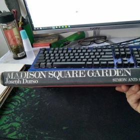 madison square garden(麦迪逊广场花园 )