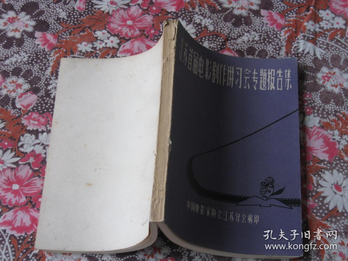 江苏首届电影剧作讲习会专题报告集