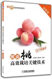 桃树种植技术书籍 图说桃高效栽培关键技术