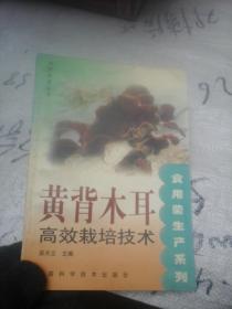 黃背木耳高效栽培技術(shù)