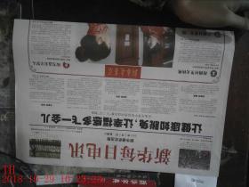 新华每日电讯 2011年2月5日
