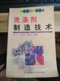 洗涤剂制造技术——精细化工品实用生产技术手册