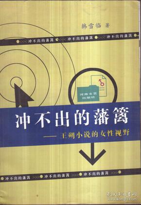 冲不出的藩篱——王朔小说的女性视野