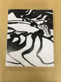 张雷平画集
