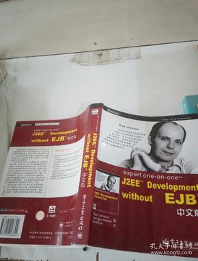 expert one-on-one J2EE Development without EJB 中文版