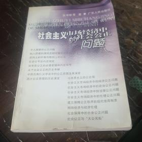 社会主义市场经济中的社会公正问题