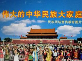 艺术图片《伟大的中华民族大家庭》—民族团结宣传教育图片  2009年  散装