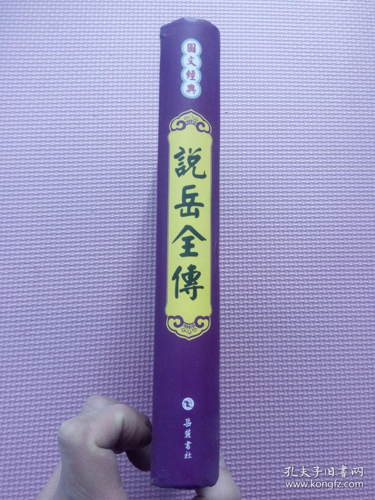 说岳全传（图文本）
