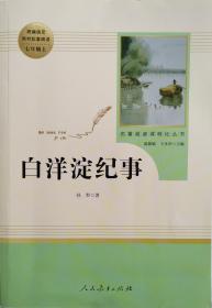 白洋淀纪事 名著阅读课程化丛书（统编语文教材配套阅读）七年级上