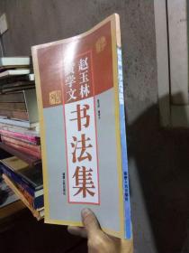 赵玉林黄学文书法集 1996年一版一印800册  品好