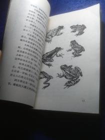 蛙类王国（插图版，馆藏）