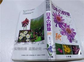 原版日本日文书 日本の野草（秋） 菅原久夫 株式会社小学馆 1991年5月 32开软精装