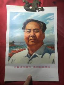 **宣传画毛泽东：油画 浙江工农兵美术大学革委会供稿 1969年浙江版年8开