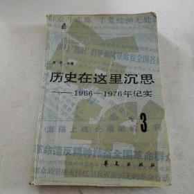 历史在这里沉思《1966一1976年记实》