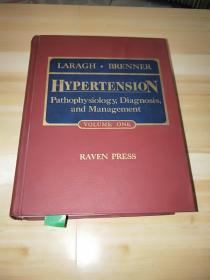 HYPERTENSION PATHOPHYSIOLOGY DIAGNOSIS AND MANAGEMENT(高血压病理生理学诊断和管理)全铜版纸印刷