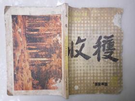 收获（1984-6）