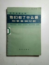 他们犯了什么罪？——刑事案例分析（实用法律丛书）