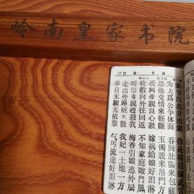 绝版雷歌雷剧 苏文举祭江 海康 雷州半岛 广州湾民歌民谣难得