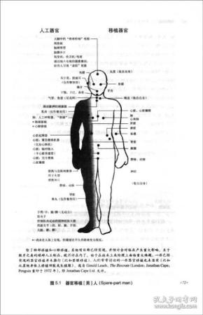 身体五态：重塑关系形貌