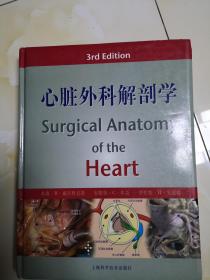 心脏外科解剖学