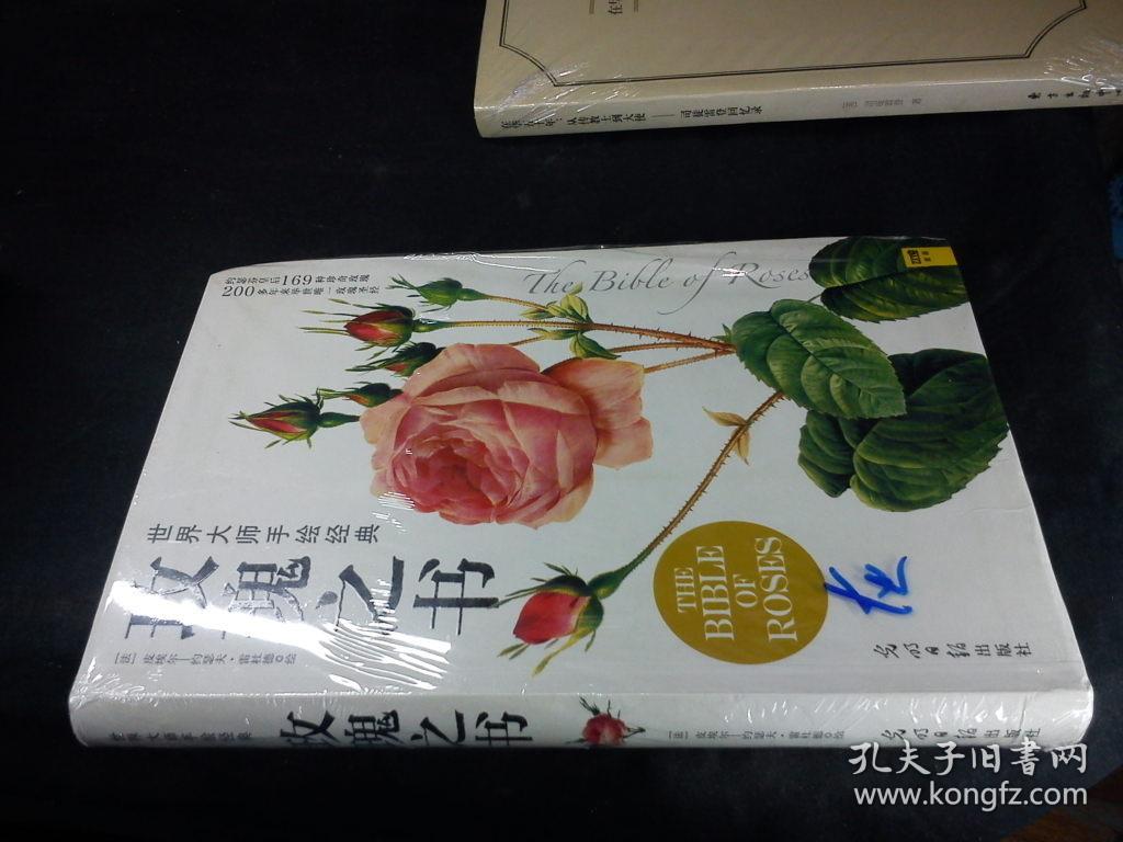玫瑰之书（世界大师手绘经典）: 软精装封面淡淡灰印