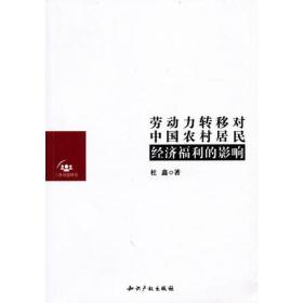 劳动力转移对中国农村居民经济福利的影响