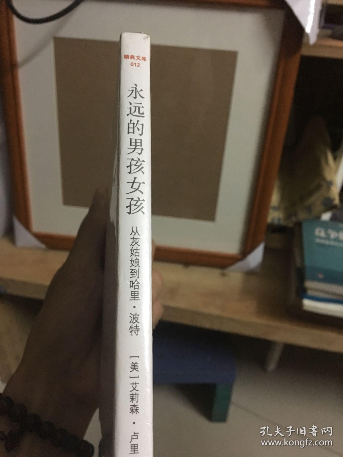 永远的男孩女孩：从灰姑娘到哈里·波特