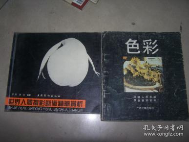 色彩风景静物人物水粉水彩油画