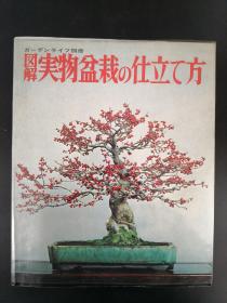 図解 実物盆栽の仕立て方　ガーデンライフ別冊/图解 实物盆栽的制作方法 花艺生活别册