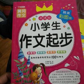 《小学生作文起步》