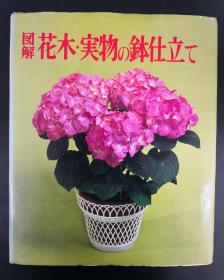 図解 花木実物の鉢仕立て /ガーデンライフ編集部編/花木实物的盆栽方法/花艺生活编集部编