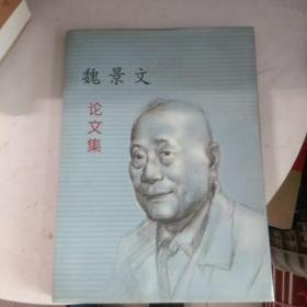 魏景文（眼科专家）论文集